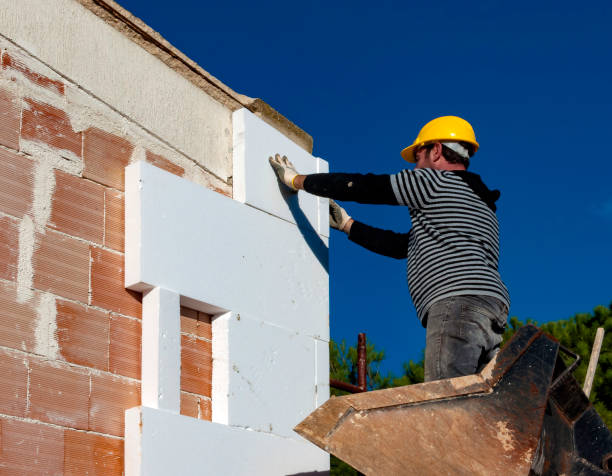 Best Cellulose Insulation in Hannibal, MO