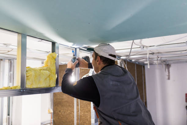 Types of Insulation We Offer in Hannibal, MO