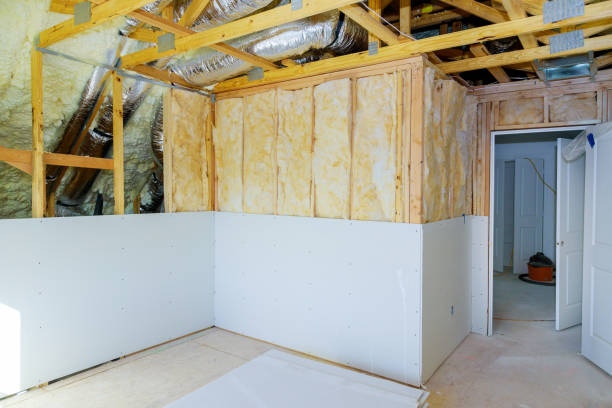 Best Insulation Maintenance and Repair in Hannibal, MO